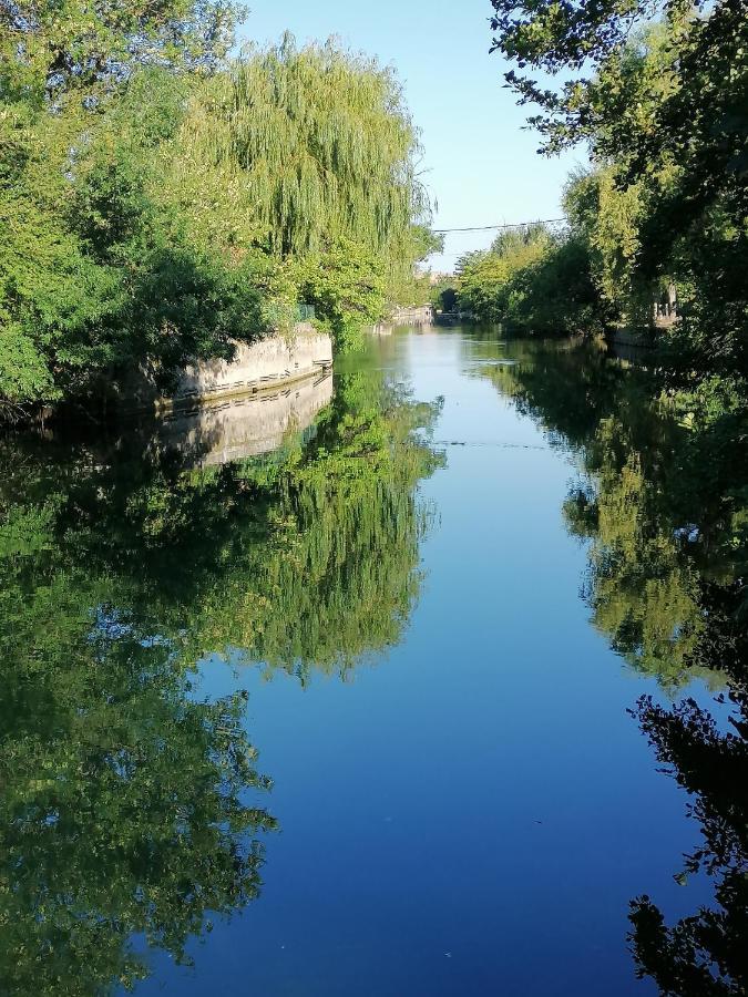 Gite Les Demoiselles Des Sorgues LʼIsle-sur-la-Sorgue Eksteriør bilde